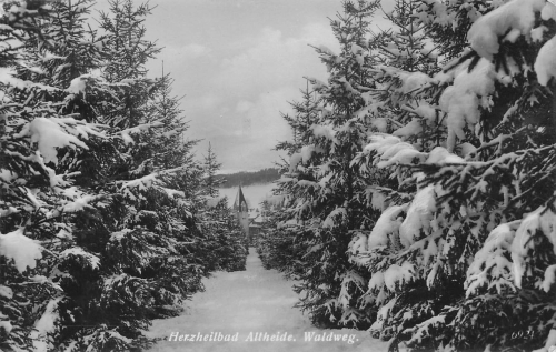Bad Altheide Waldweg Schlesien Polanica-Zdrój o 1937
