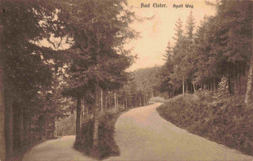 Bad Elster Vogtland Apelt Weg o 1926