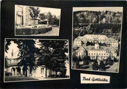 01816 Bad Gottleuba Mehrbildkarte *1964 Hanich1649