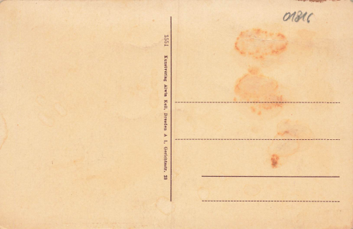 01816 Bad Gottleuba * um 1920