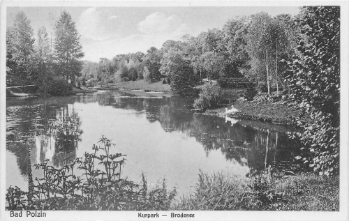 Bad Polzin Kurpark Pommern Połczyn-Zdrój * um 1920