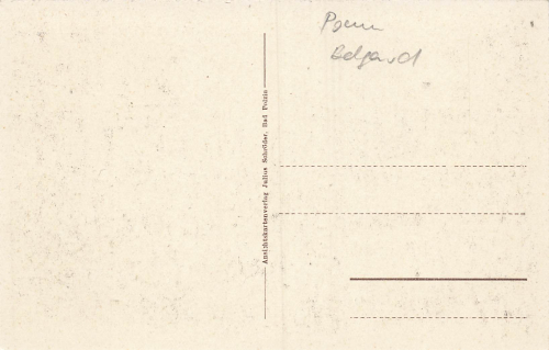 Bad Polzin Kurpark Pommern Połczyn-Zdrój * um 1920