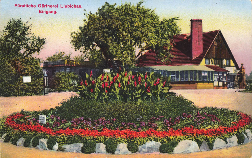 Bad Salzbrunn Gärtnerei Liebichau Dahlien Schlesien Szczawno-Zdrój o 1930