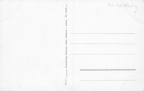 Bad Salzbrunn Schaffertal Schlesien Szczawno-Zdrój  * um 1920