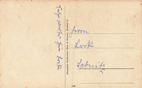 01814 Bad Schandau Kurpark mit Musikpavillon * um 1920