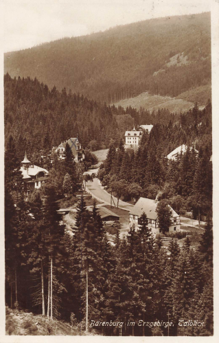 01773 Baerenburg Erzgebirge Talblick o 1928
