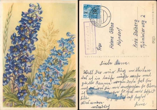 09337 Bernsdorf via Hohenstein-Ernstthal 1 country postmark on flower card o 22.11.1954