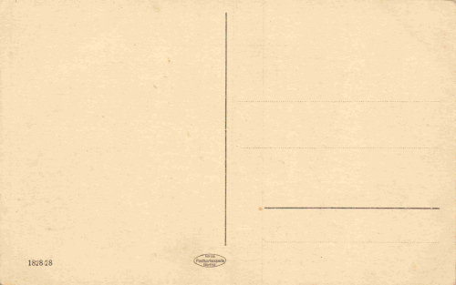 Biesnitz bei Görlitz Villen an der Landeskrone * um 1920