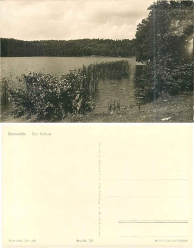 16818 Binenwalde am Kalksee *1956 Hanich0176