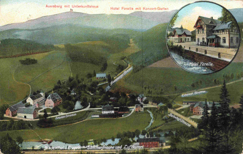 Blauenthal Erzgebirge Hotel Forelle o 1910