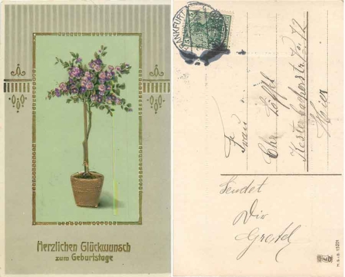 Blumenstock Goldschnittkarte o 26.2.1915