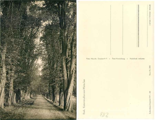 17248 Boek Mueritz Kastanienallee *1962 Hanich0288