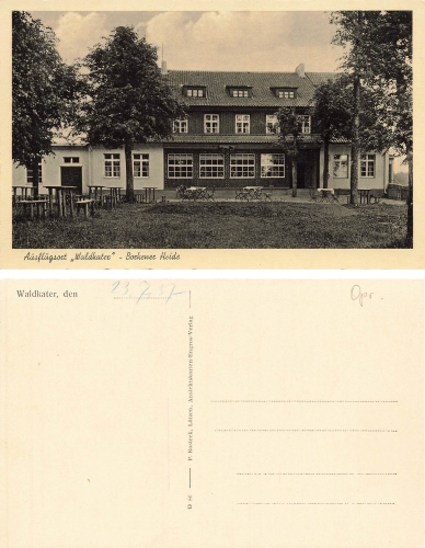 Borkener Heide Waldkater Ostpreussen Puszcza Borecka * 1937