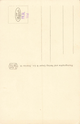 Breslau aus den Gärten WUWA Werksbund-Ausstellung Schlesien Wrocław * 1929 