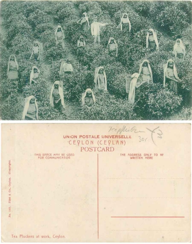 Landwirtschaft, Feldarbeit, Künstlerkarte v. Hans Hildenbrand * ca. 1920