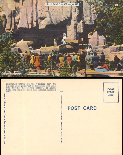 USA Illinois Chicago Brookfield Zoo polar bears * around 1950