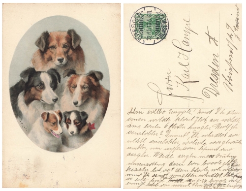 Colly's dog o 11/22/1913