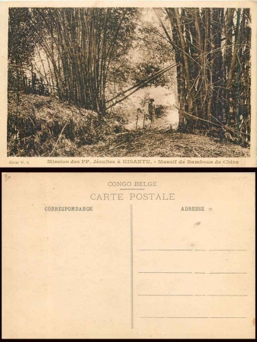 Kisantu bamboo plantation AK around 1930