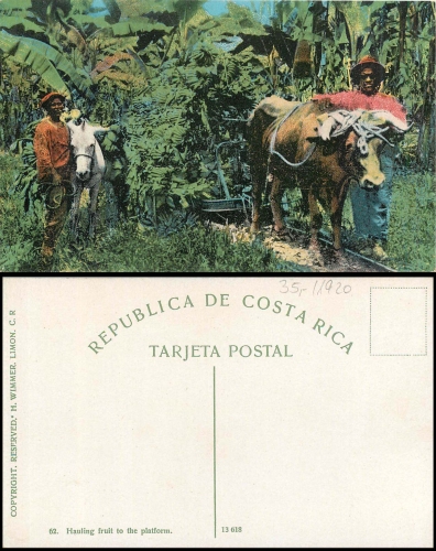 Costa Rica ox cart agriculture * approx. 1920
