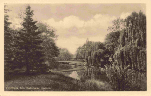 Cottbus Ostrower Damm o 1951