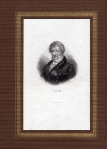 Cuvier Georges naturalist original steel engraving around 1850