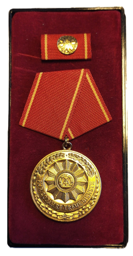 DDR Medaille für treue Dienste im Ministerium des Innern (MdI) Staatssicherheit Stasi in Gold