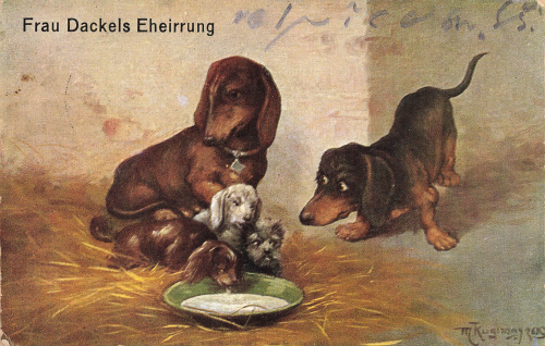 Dachshund Humor artist card M. Kugelmayr o 9.9.1928