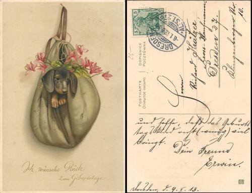 Dackel im Rucksack o 8.1.1913