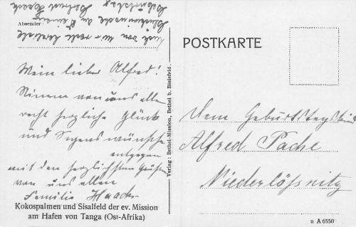 Tanga Kokospalmen und Sisalfeld der ev. Mission Deutsch Ostafrika * um 1910