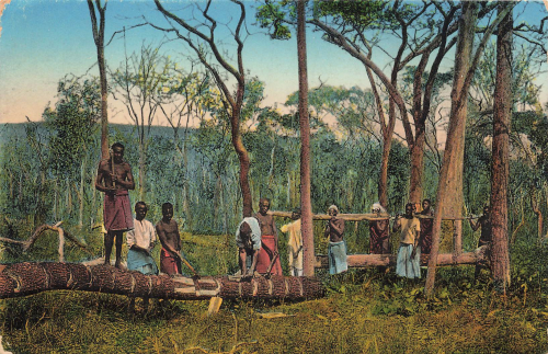 Peeling of the timber (munigo) German East Africa * around 1910