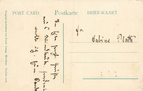 Farm Voigtland cows German South West Africa * around 1910