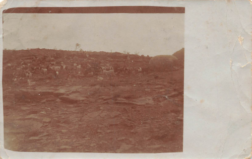 Field post Imperial Protection Force for German South West Africa Stage Bethany o 11.8.1906