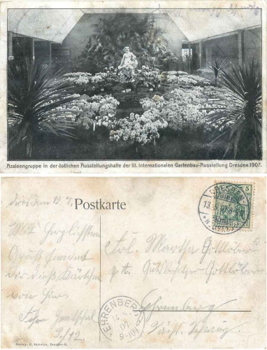 Dresden III International Horticultural Exhibition 1907 Azalea group o 13.5.1907