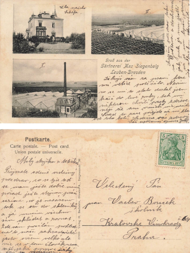 Leuben Dresden Nursery Max Ziegenbalg used around 1910