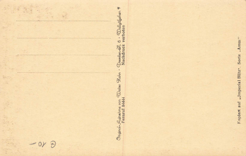 Pillnitz Dresden Schloss * 1929 ​​​​​​​Hahn-Foto5220