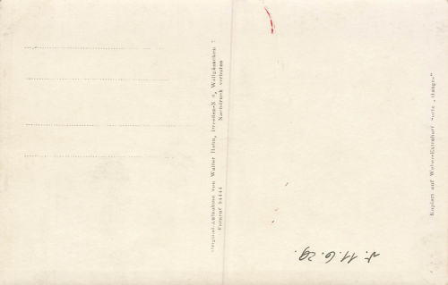 Pillnitz Dresden Luftbild * 1929 ​​​​​​​Hahn-Foto5569