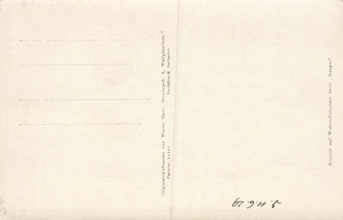 Pillnitz Dresden Luftaufnahme 1929 Hahn-Foto5035