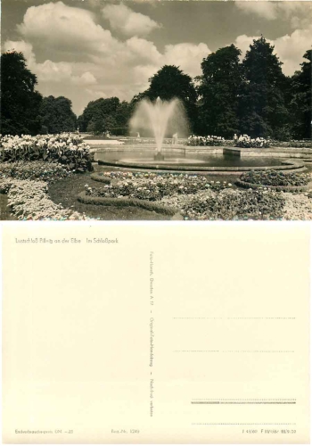 Pillnitz Dresden Schlosspark *1960 Hanich1240