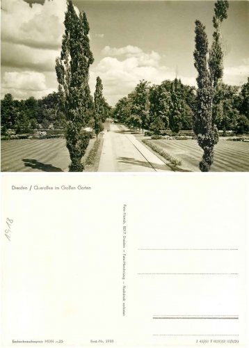 Dresden Querallee in the Great Garden *1968 Hanich1918