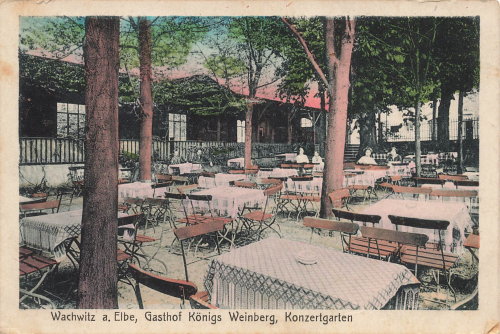 Wachwitz Dresden Gasthof Koenigs Weinberg Konzertgarten * um 1910