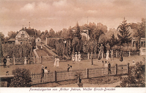 Weisser Hirsch Dresden Form orchard Arthur Pekrun * around 1910