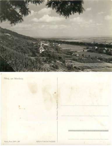 Pillnitz Dresden Weinberg *1957 Hanich1017