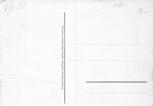 Elbdampfschiff "Wettin" vor Stadt Wehlen * um 1920