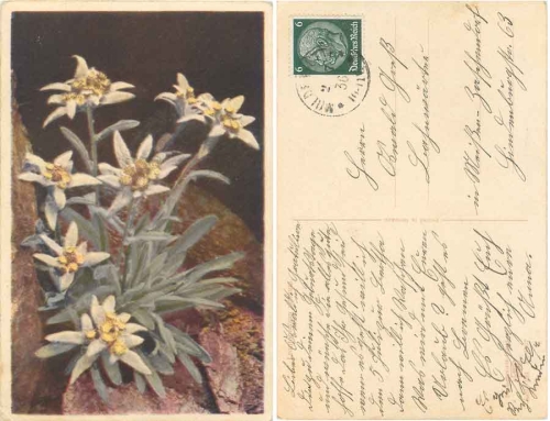 Edelweiss Photochromie Serie 594 Nr. 1567 o 2.7.1936