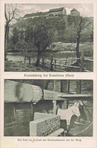 06463 Ermsleben, Falkenstein/Harz: Konradsburg with donkey, circa 1920