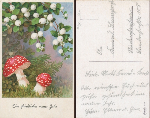 New year mushrooms used circa 1920