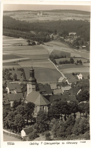 01778 Geising Erzgebirge Hahn-Foto11384 * um 1940