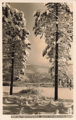01778 Geising Erzgebirge vom Geisingberg Hahn-Foto6802 o 1931