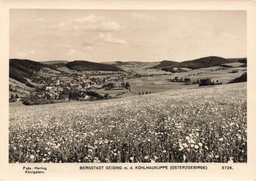 01778 Geising Erzgebirge mit Kohlhaukuppe * 1959