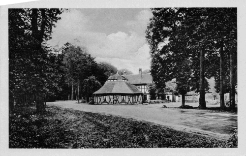 06485 Gernrode Harz Waldwirtschaft Sternhaus * 1954